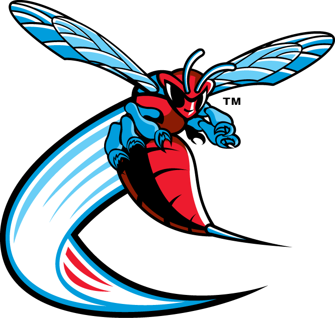 Delaware State Hornets 2004-Pres Alternate Logo v3 diy DTF decal sticker